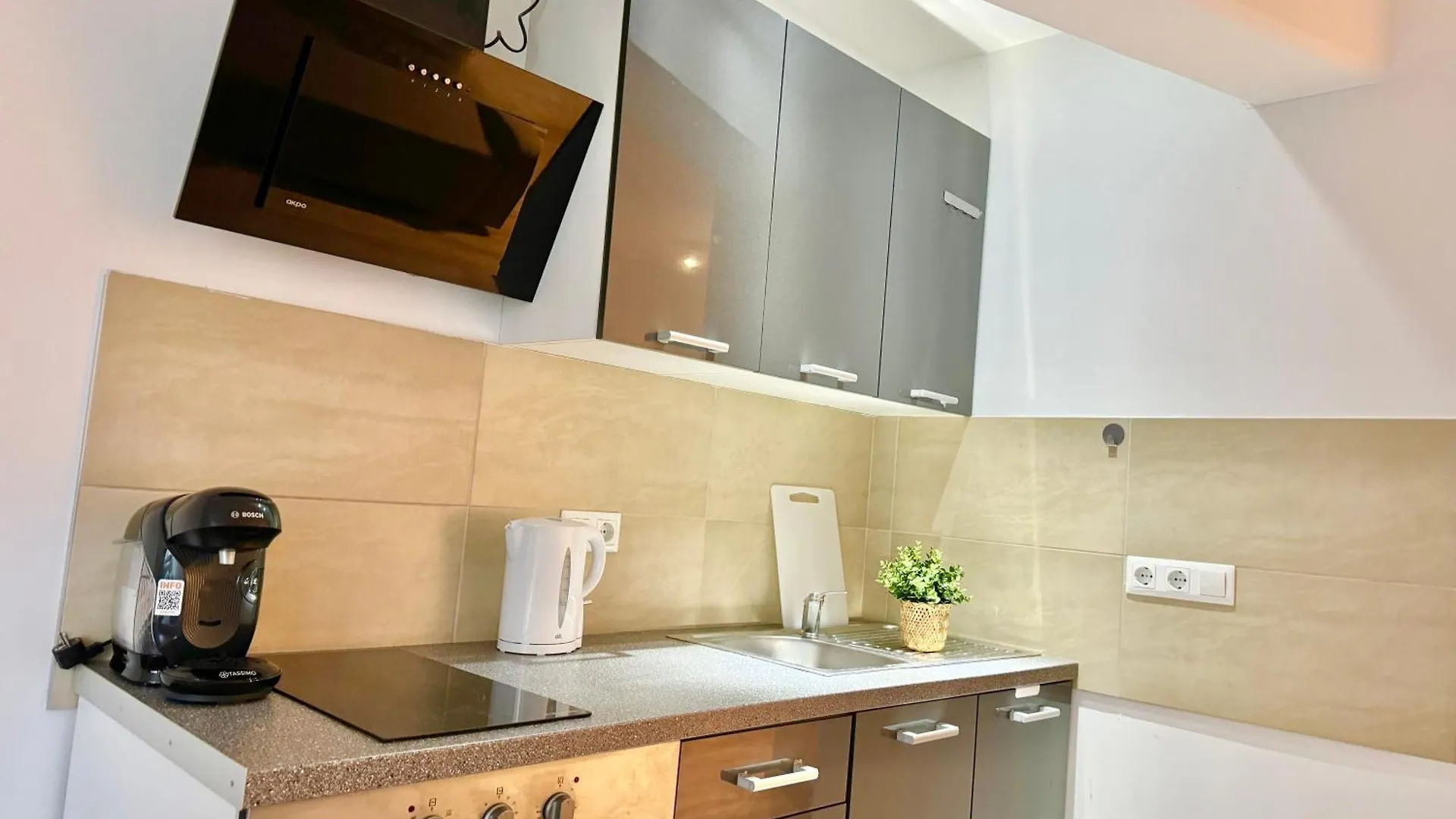 Stylish Schonbrunn Apartments - Free Underground Parking Vienna